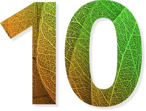 CQ9电子·(集团)唯一官方网站